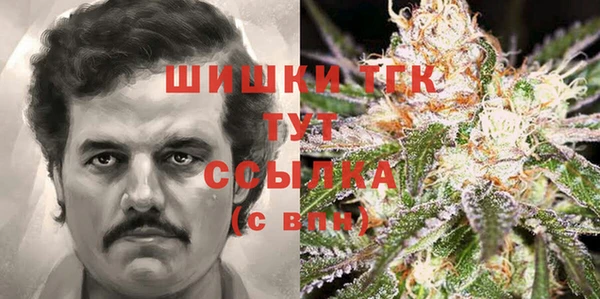 спайс Алексин