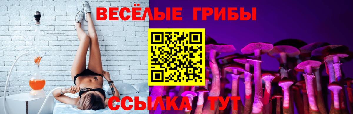 Асино  Псилоцибиновые грибы мицелий  Вход с VPN 