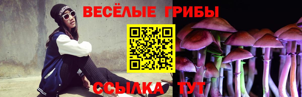 Галлюциногенные грибы Psilocybine cubensis Асино